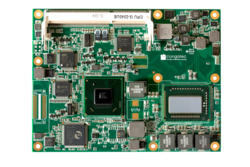 conga-BP77 rep conga-BP77 rep