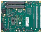 conga-bCL6 Image 2